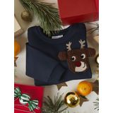 NAME IT NMMRSANTA NREG SWEAT BRU BOX - Jongens Trui - Sweatshirt