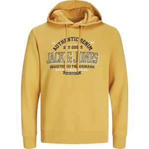 Jack & Jones Kapuzensweatshirt JJELOGO SWEAT HOOD 2 COL 24/25 NOOS mit Logo Print