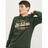 Hoodie - Capuchon - Licht Grijs - 70% Katoen 30% Polyester