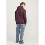 Jack&jones - Jjecaleb Varsity Sweat Hood Noos - Heren - Sweaters