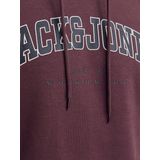 Jack&jones - Jjecaleb Varsity Sweat Hood Noos - Heren - Sweaters