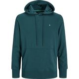 Sweater - Hoodie - Zwart - Katoen/Polyester - Standaard Fit