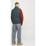 Puffer Gilet - Zwart - Gewatteerd - Mouwloos - Hoge Opstaande Kraag