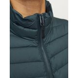 Puffer Gilet - Zwart - Gewatteerd - Mouwloos - Hoge Opstaande Kraag
