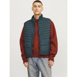 Puffer Gilet - Zwart - Gewatteerd - Mouwloos - Hoge Opstaande Kraag