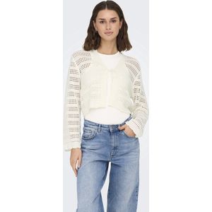 Cardigan - Marshmallow - V-hals - Lange Mouwen - Regular Fit - Ribbreisel