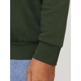 Hoodie - Plus - Geborsteld - Zacht - Lange Mouwen