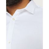 Formeel Shirt - Satijn - Kraag - Lange Mouwen - Plus-Size - Losse Fit