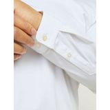 Formeel Shirt - Satijn - Kraag - Lange Mouwen - Plus-Size - Losse Fit