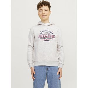JACK & JONES JJELOGO SWEAT HOOD 2 COL 24/25 NOOS JNR Jongens Trui - Maat 140