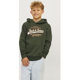 Jack & Jones Jjelogo Sweat Hood 2 Co/25 Noos Jnr Jongens Trui
