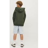 Jack & Jones Jjelogo Sweat Hood 2 Co/25 Noos Jnr Jongens Trui