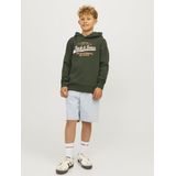 Jack & Jones Jjelogo Sweat Hood 2 Co/25 Noos Jnr Jongens Trui