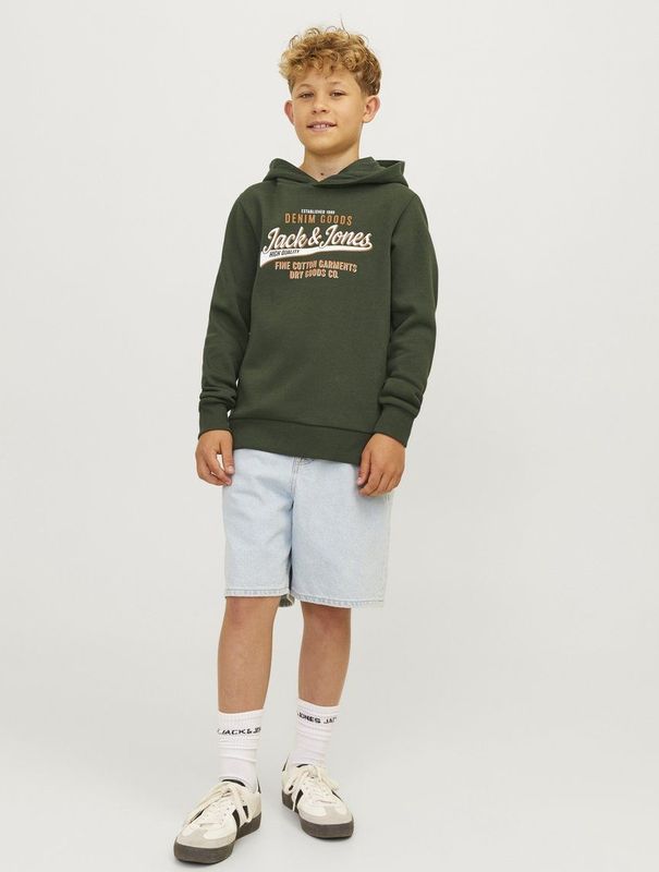Jack & Jones Jjelogo Sweat Hood 2 Co/25 Noos Jnr Jongens Trui