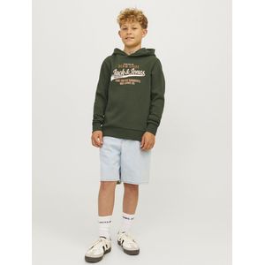 Jack & Jones Logo Hoodie Junior