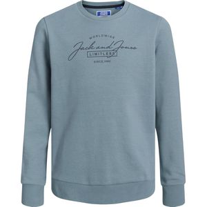 Jack & Jones Jjferris Sweat Crew Neck Mni Jongens Trui
