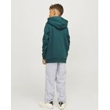 Sweater - Deep Teal - Met Capuchon - Lange Mouwen - Regular Fit