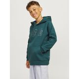 Sweater - Deep Teal - Met Capuchon - Lange Mouwen - Regular Fit