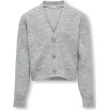 ONLY meisjes kids vest ORIANA Light Grey Melange SILVER GLITTER Regular Fit