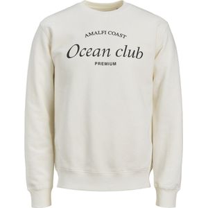 Jack&jones - Jprblaocean Club Sweat Crew Neck - Heren - Sweaters