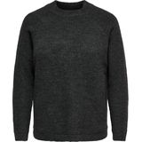 ONLY CARMAKOMA - CARJADE - Gebreide Trui - Regular Fit - Lange Mouwen