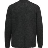 ONLY CARMAKOMA - CARJADE - Gebreide Trui - Regular Fit - Lange Mouwen