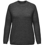 ONLY CARMAKOMA - CARJADE - Gebreide Trui - Regular Fit - Lange Mouwen