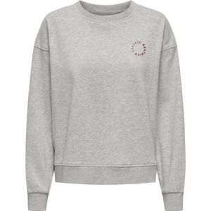 Jacqueline de Yong Trui Jdysally Ls O Neck Sweat Jrs Atk 15332461 Light Grey Mela/beaujolais Dames