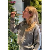 Only - Onlrosie - Trui - Grijs - Glitter Dessin