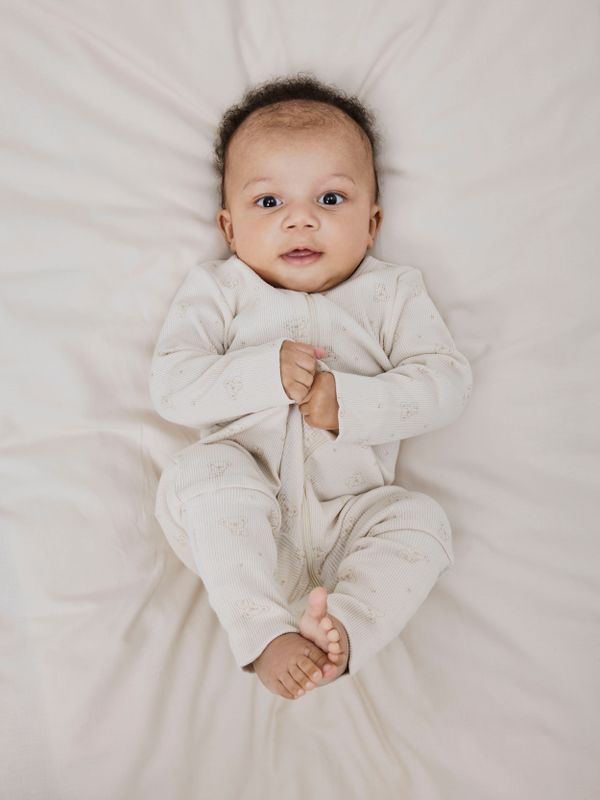 Boxpak - Gestreept - Ribtricot - Lange Mouwen - Ritssluiting