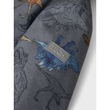 Skipak - Grijs - 100% Polyester - Waterdicht en Ademend