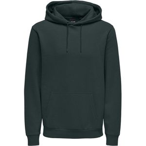 Only & Sons Onsceres Hoodie Sweat Noos Heren Trui