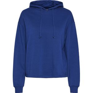Pieces Trui Pcchilli Ls Hoodie Noos Bc 17113437 Bellwether Blue Dames