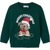 NAME IT NMMVISMAS LS NREG SWEAT BRU Jongens Trui - Maat 86