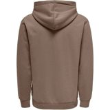 Only & Sons Onsceres Hoodie Sweat Noos Heren Trui