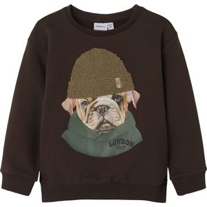 Name It mini jongens trui RADEK Bracken Regular Fit