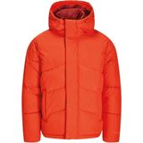 Jack & Jones - World Puffer - Gewatteerd Jack - Lichtgewicht - Winddicht