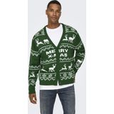 Vest - V-Hals - Lange Mouwen - Knoopsluiting - Regular Fit