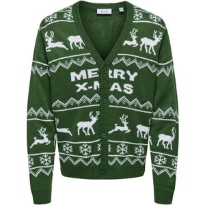 Vest - V-Hals - Lange Mouwen - Knoopsluiting - Regular Fit