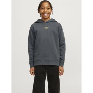 Jack&jones - Jcoalpha Mountain Print Sweat Hood Jnr - Jongens - Sweaters
