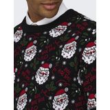 Only & Sons Trui Onsxmas Reg 5 Jaq Crew Knit 22031174 Black Mannen