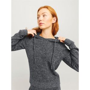 Jack & Jones Evi Jjxx Hoodie Grijs Vrouw