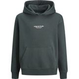 Jack & Jones Jorvesterbro Sweat Hood Noos Jnr Jongens Trui