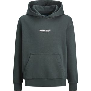 Jack & Jones Vesterbro Hoodie Junior