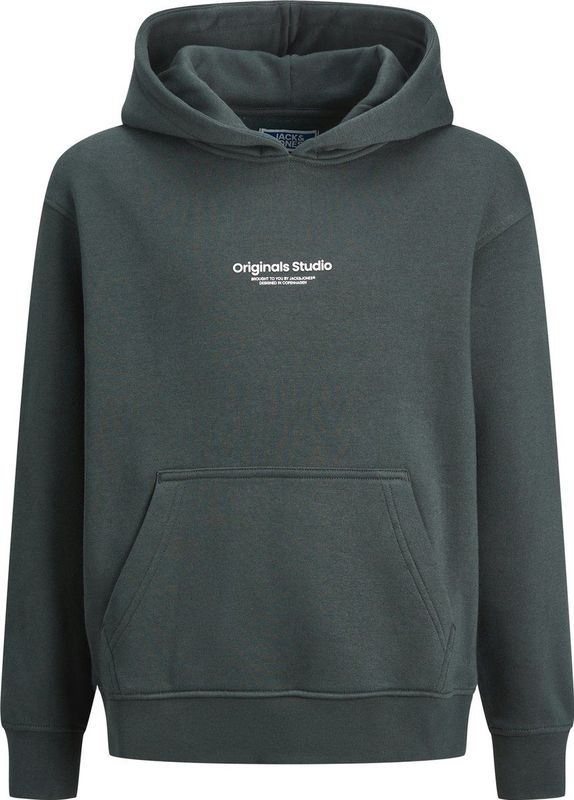 Jack & Jones Jorvesterbro Sweat Hood Noos Jnr Jongens Trui