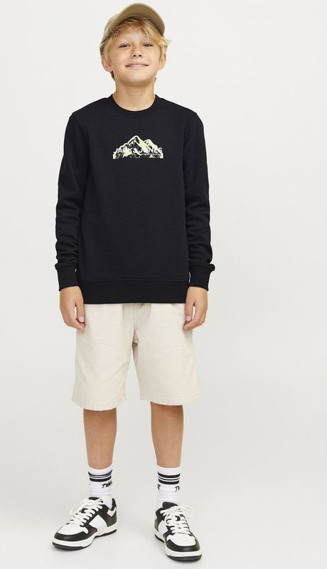 Jack & Jones Mountain Logo Sweater Jongens