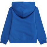 Jack & Jones Jcomountain Logo Sweat Hood Sn Mni Jongens Trui