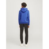 Jack & Jones Jcomountain Logo Sweat Hood Sn Mni Jongens Trui