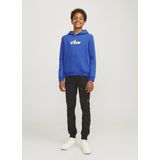 Jack & Jones Jcomountain Logo Sweat Hood Sn Mni Jongens Trui