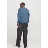 Jack & Jones Sweatshirt JJEBRADLEY SWEAT CREW NOOS mit Rippbündchen